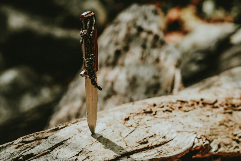 couteau planté dans un arbre